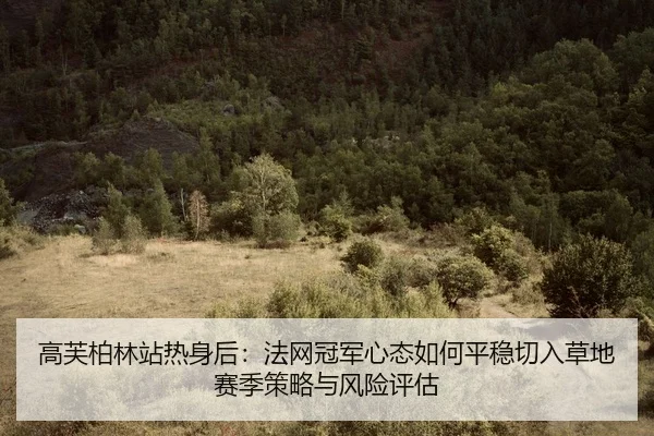 gao-fu-bo-lin-zhan-re-shen-hou-fa-wang-guan-jun-xin-tai-ru-he-ping-wen-qie-ru-cao-di-sai-ji-ce-lve-yu-feng-xian-ping-gu-2-587.jpg